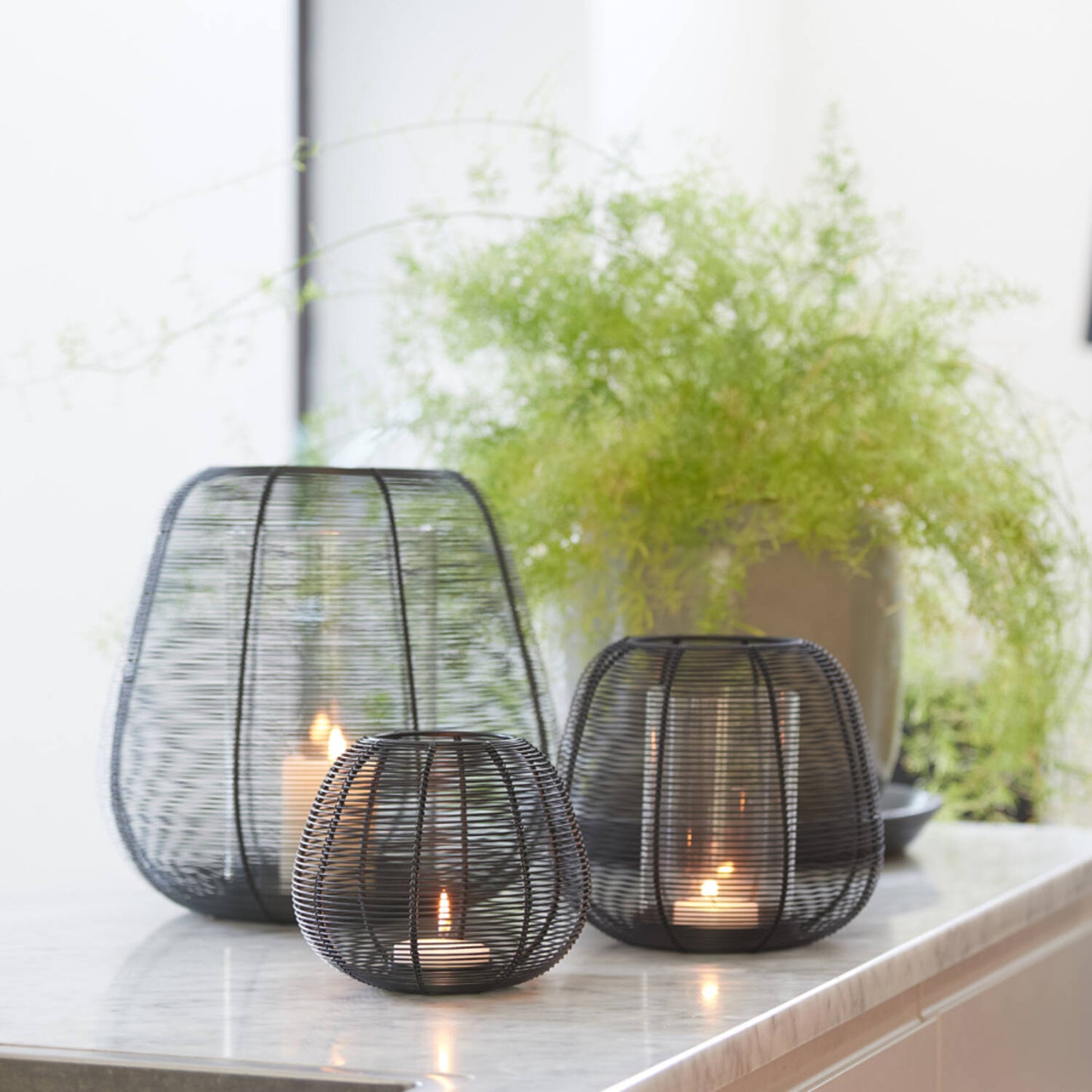 Fanal - Tealight Paris