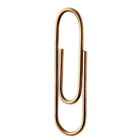 Dino - Big Pig Chile