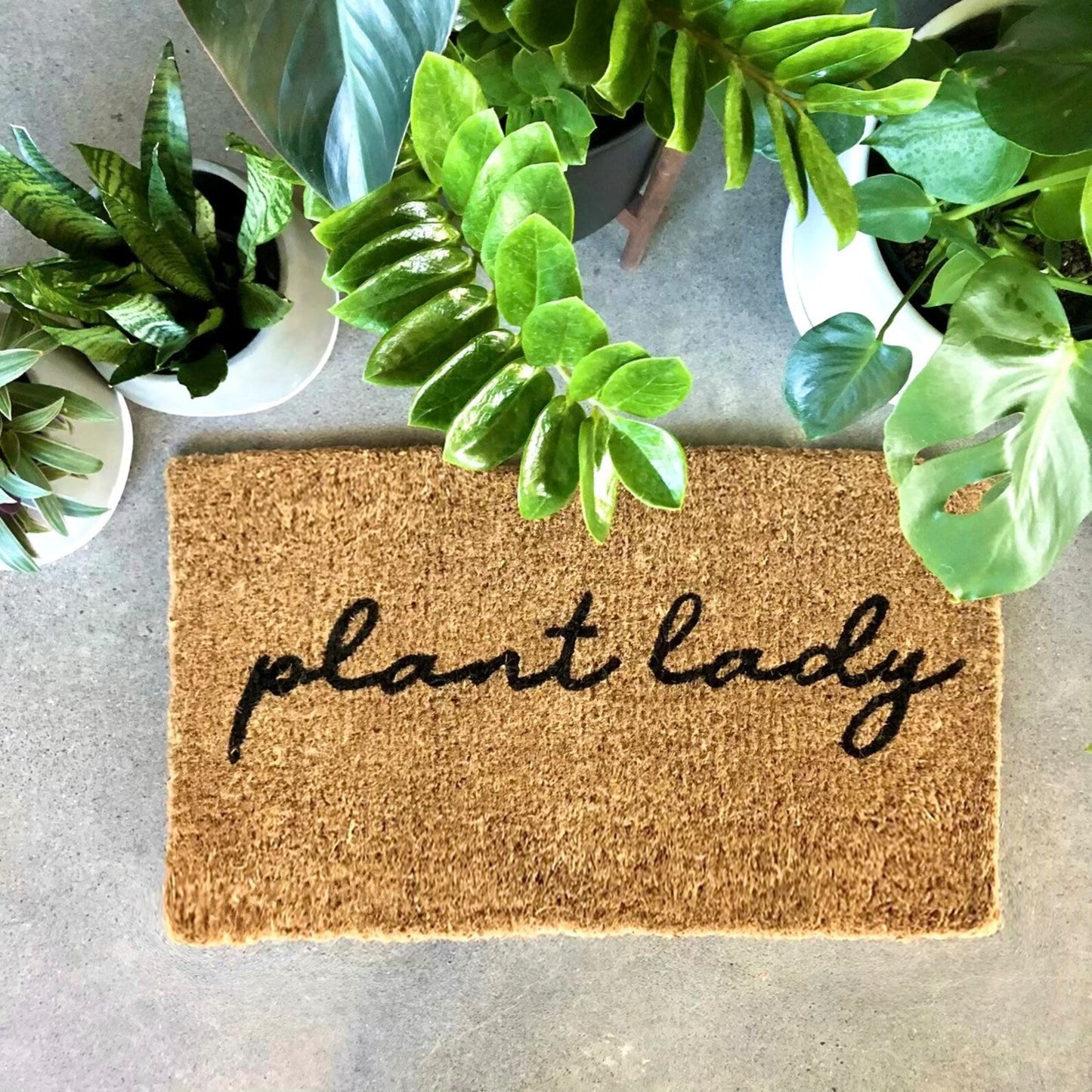 Plant Lady - Big Pig Chile