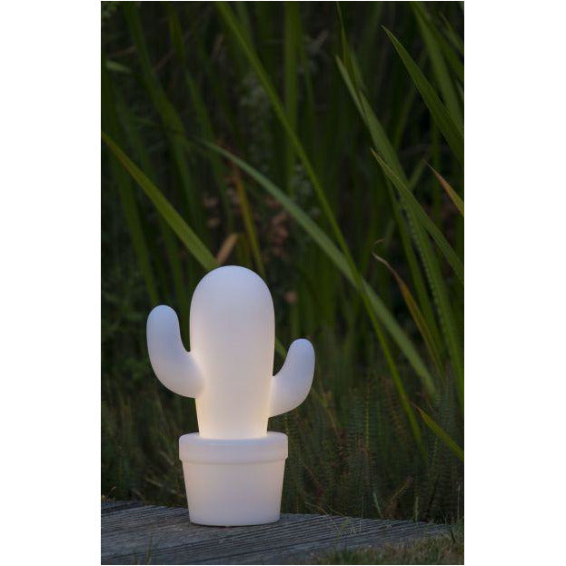 Rag Doll Outdoor - Big Pig Chile