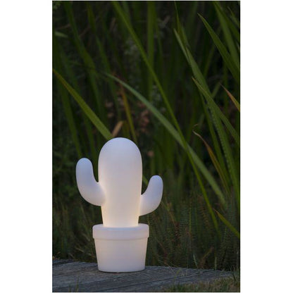 Rag Doll Outdoor - Big Pig Chile