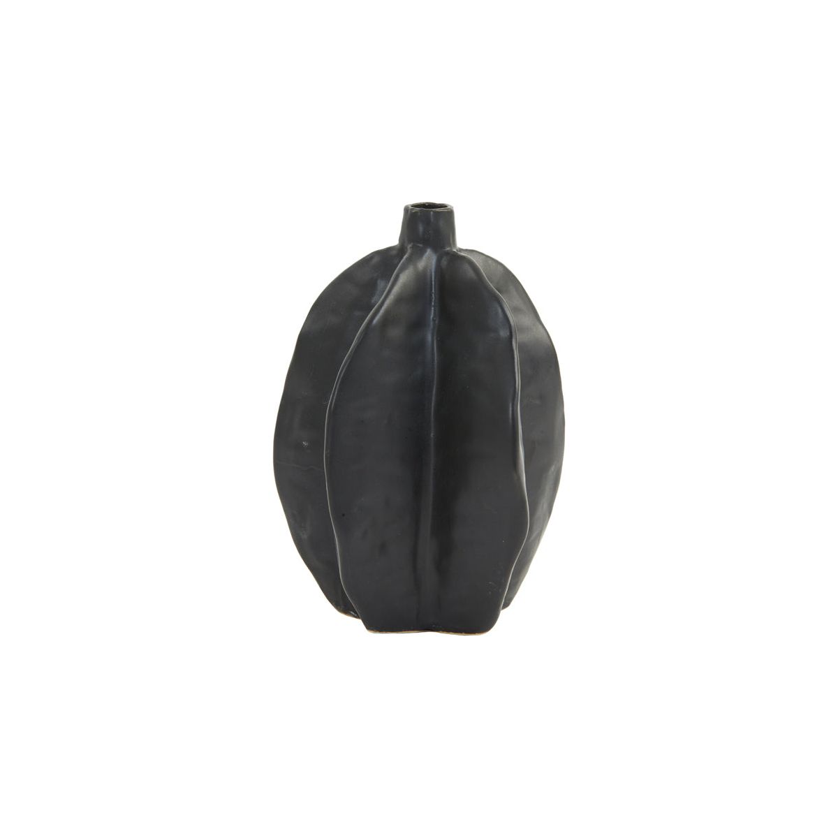Seed