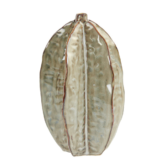 Seed